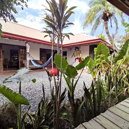 Herbs Guest House And Restaurant Near The Sea (Adults Only) Moalboal Exteriér fotografie